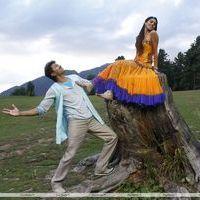 Vijay's Velayutham Movie New Unseen Pictures | Picture 107350